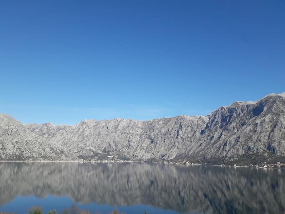 2Br Apartment With Pool Kotor Exteriör bild
