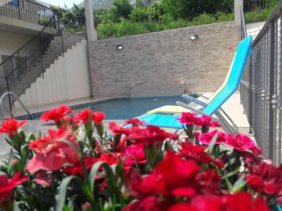 2Br Apartment With Pool Kotor Exteriör bild