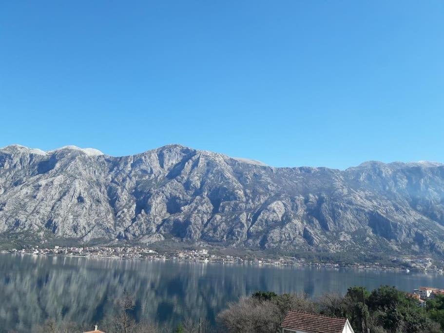 2Br Apartment With Pool Kotor Exteriör bild